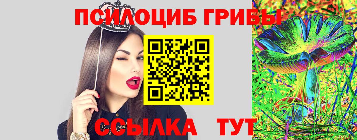 Псилоцибиновые грибы Psilocybe Елизово