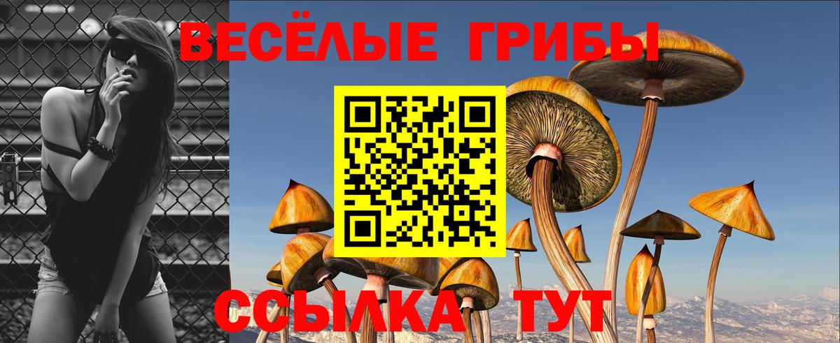 Елизово  купить наркотики сайты  Вход с VPN  Галлюциногенные грибы ЛСД  Псилоцибиновые грибы Magic Shrooms 