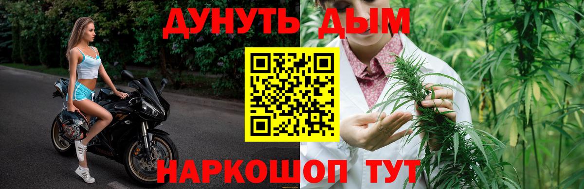 Каннабис конопля Елизово